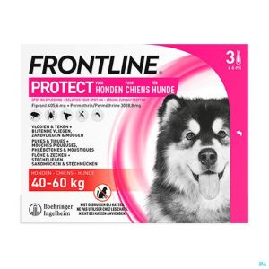 Frontline protect spot on sol chien 40-60kg pipet3