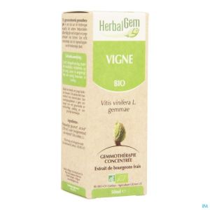 Herbalgem vigne macerat 50ml