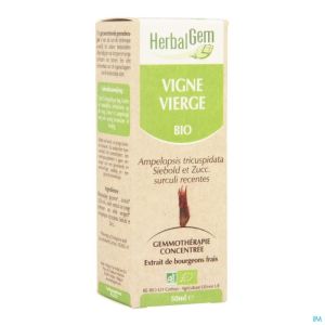 Herbalgem vigne vierge macerat 50ml