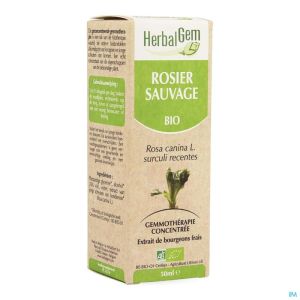 Herbalgem rosier sauvage macerat 50ml