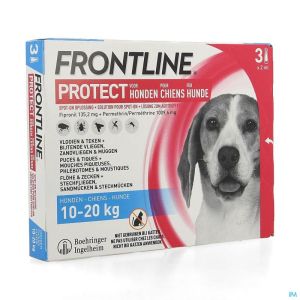Frontline protect spot on sol chien 10-20kg pipet3