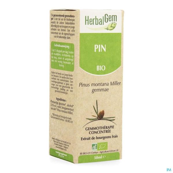 Herbalgem pin montagne macerat 50ml