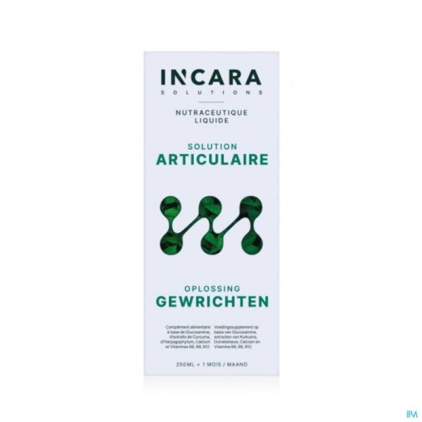 Incara solution articulaire fl 250ml