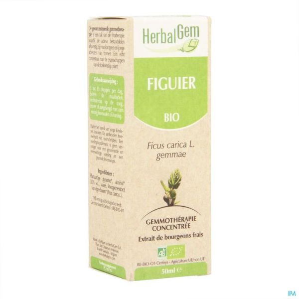 Herbalgem figuier macerat 50ml