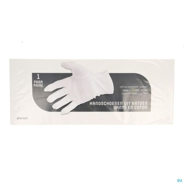 Pharmex gants coton x-large 2